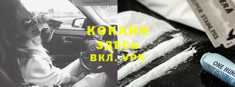 Cocaine FishScale  хочу наркоту  Городовиковск 